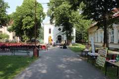 IMG_6042
