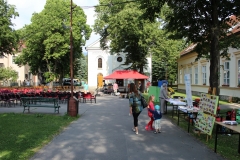 IMG_6043